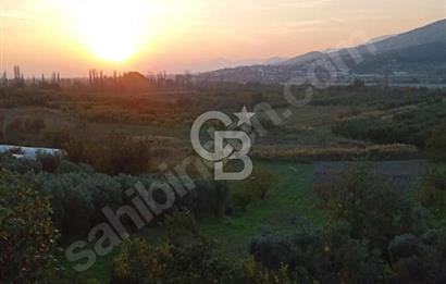 CB Fly'dan Yatırımlık 4391 m² %40 İmarlı Arsa + Müstakil Ev