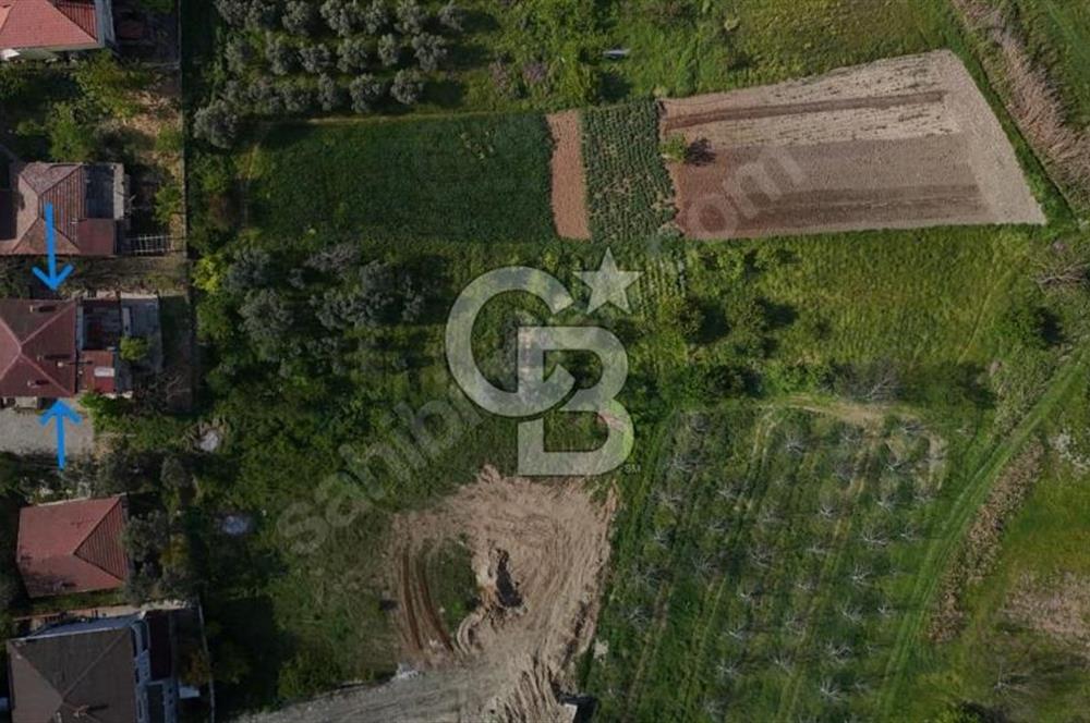 CB Fly'dan Yatırımlık 4391 m² %40 İmarlı Arsa + Müstakil Ev