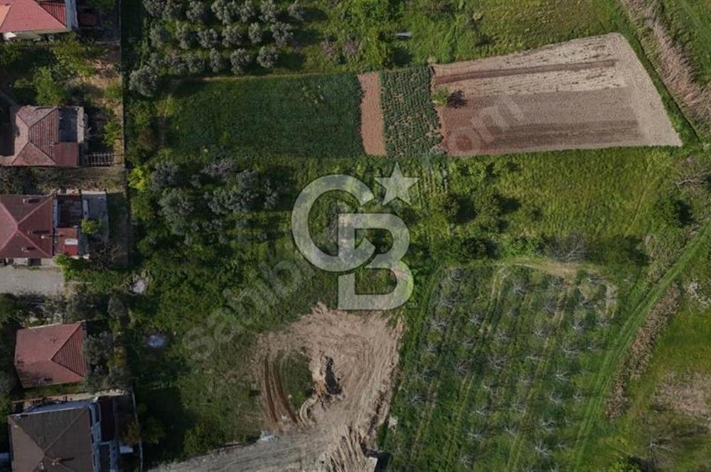 CB Fly'dan Yatırımlık 4391 m² %40 İmarlı Arsa + Müstakil Ev