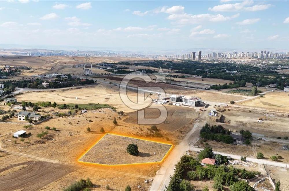 İNCEKTE (2118 m²) ŞEREFİYELİ VİLLA ARSASI BULVARA 500 m