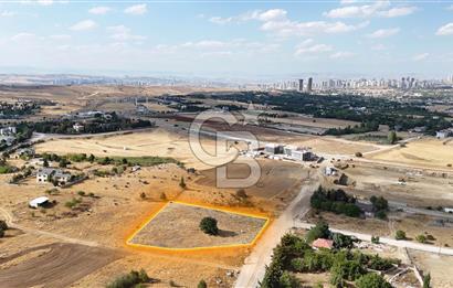 İNCEKTE (2118 m²) ŞEREFİYELİ VİLLA ARSASI BULVARA 500 m