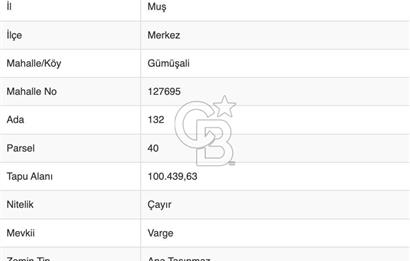 MUŞ MERKEZ GÜMÜŞALİ KÖYÜ'NDE YATIRIMLIK SATILIK TARLA