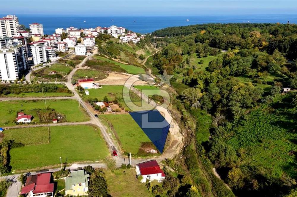 DENİZ GÖREN 1.389m² 51 DAİRELİK KÖŞE PARSEL