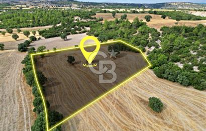 CB OPİA'DAN'' KARABAL GÖLÜ MANZARALI TARIMA UYGUN EŞSİZ ARAZİ
