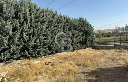 ALACAATLI BAŞKENT PARK EVLERİNDE NATAMAM SATILIK VİLLA
