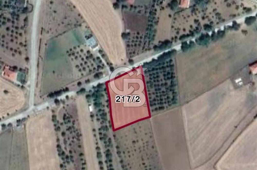 ÇUBUĞUN ENGÜZEL KÖYLERİNDEN BİRİ OLAN DAĞKALFATTA SATILIK ARSA