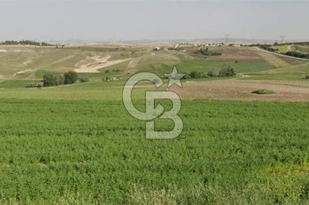 YAPRACIKTA TAYMEK ÜSTÜ 2166 m² İMARLI SATILIK ARSA