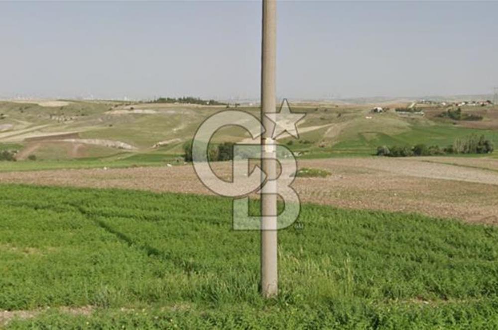 YAPRACIKTA TAYMEK ÜSTÜ 2166 m² İMARLI SATILIK ARSA