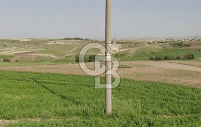YAPRACIKTA TAYMEK ÜSTÜ 2166 m² İMARLI SATILIK ARSA