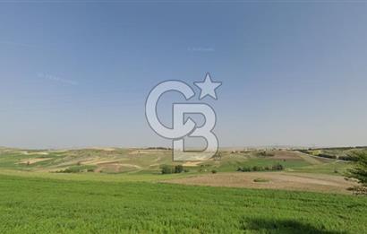 YAPRACIKTA TAYMEK ÜSTÜ 2166 m² İMARLI SATILIK ARSA