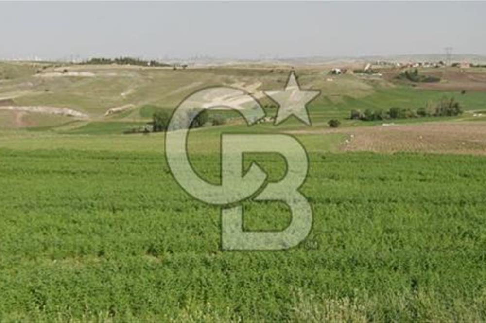 YAPRACIKTA TAYMEK ÜSTÜ 2166 m² İMARLI SATILIK ARSA