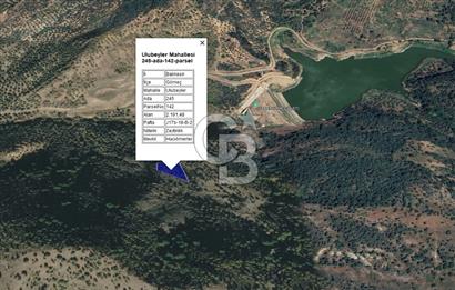 CB KiNG'DEN BALIKESİR/GÖMEÇ ULUBEYLER MAHALLESİ SATILIK ZEYTİNLİK
