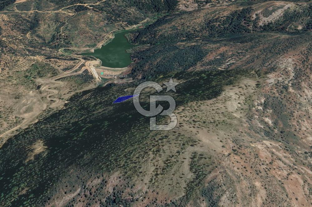 CB KiNG'DEN BALIKESİR/GÖMEÇ ULUBEYLER MAHALLESİ SATILIK ZEYTİNLİK