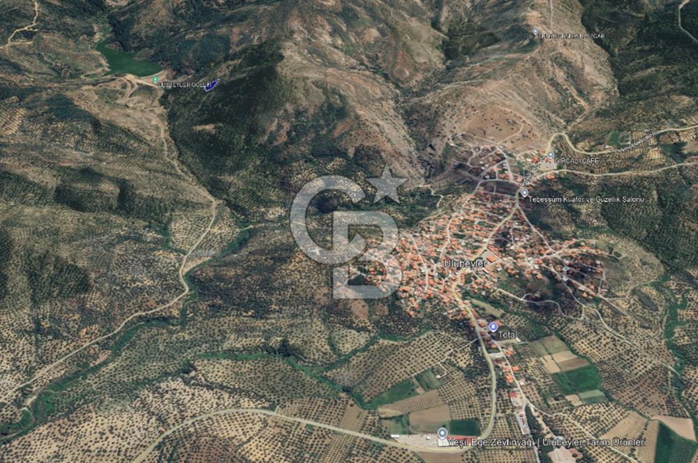 CB KiNG'DEN BALIKESİR/GÖMEÇ ULUBEYLER MAHALLESİ SATILIK ZEYTİNLİK