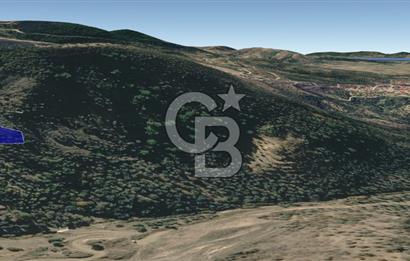 CB KiNG'DEN BALIKESİR/GÖMEÇ ULUBEYLER MAHALLESİ SATILIK ZEYTİNLİK