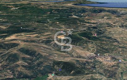 CB KiNG'DEN BALIKESİR/GÖMEÇ ULUBEYLER MAHALLESİ SATILIK ZEYTİNLİK