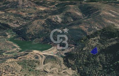 CB KiNG'DEN BALIKESİR/GÖMEÇ ULUBEYLER MAHALLESİ SATILIK ZEYTİNLİK