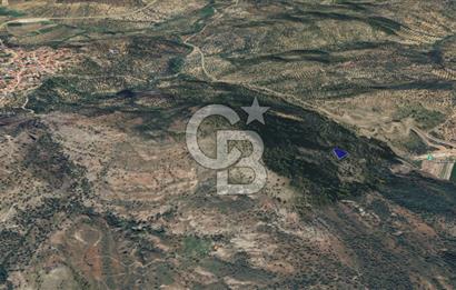 CB KiNG'DEN BALIKESİR/GÖMEÇ ULUBEYLER MAHALLESİ SATILIK ZEYTİNLİK