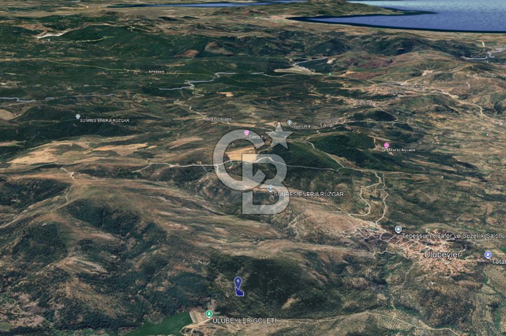 CB KiNG'DEN BALIKESİR/GÖMEÇ ULUBEYLER MAHALLESİ SATILIK ZEYTİNLİK
