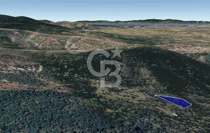 CB KiNG'DEN BALIKESİR/GÖMEÇ ULUBEYLER MAHALLESİ SATILIK ZEYTİNLİK