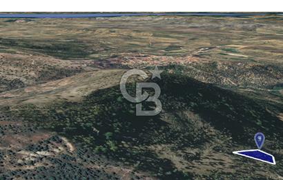 CB KiNG'DEN BALIKESİR/GÖMEÇ ULUBEYLER MAHALLESİ SATILIK ZEYTİNLİK