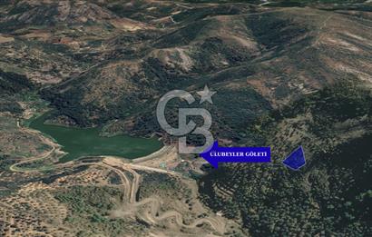 CB KiNG'DEN BALIKESİR/GÖMEÇ ULUBEYLER MAHALLESİ SATILIK ZEYTİNLİK