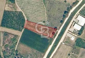 CB CLASS NİLÜFER TAHTALI YÜKSEK GELİRLİ YATIRIM SATILIK ARAZİ