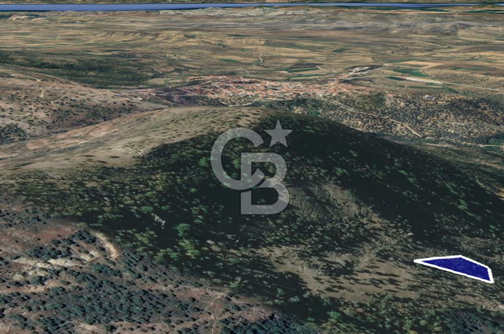 CB KiNG'DEN BALIKESİR/GÖMEÇ ULUBEYLER MAHALLESİ SATILIK ZEYTİNLİK