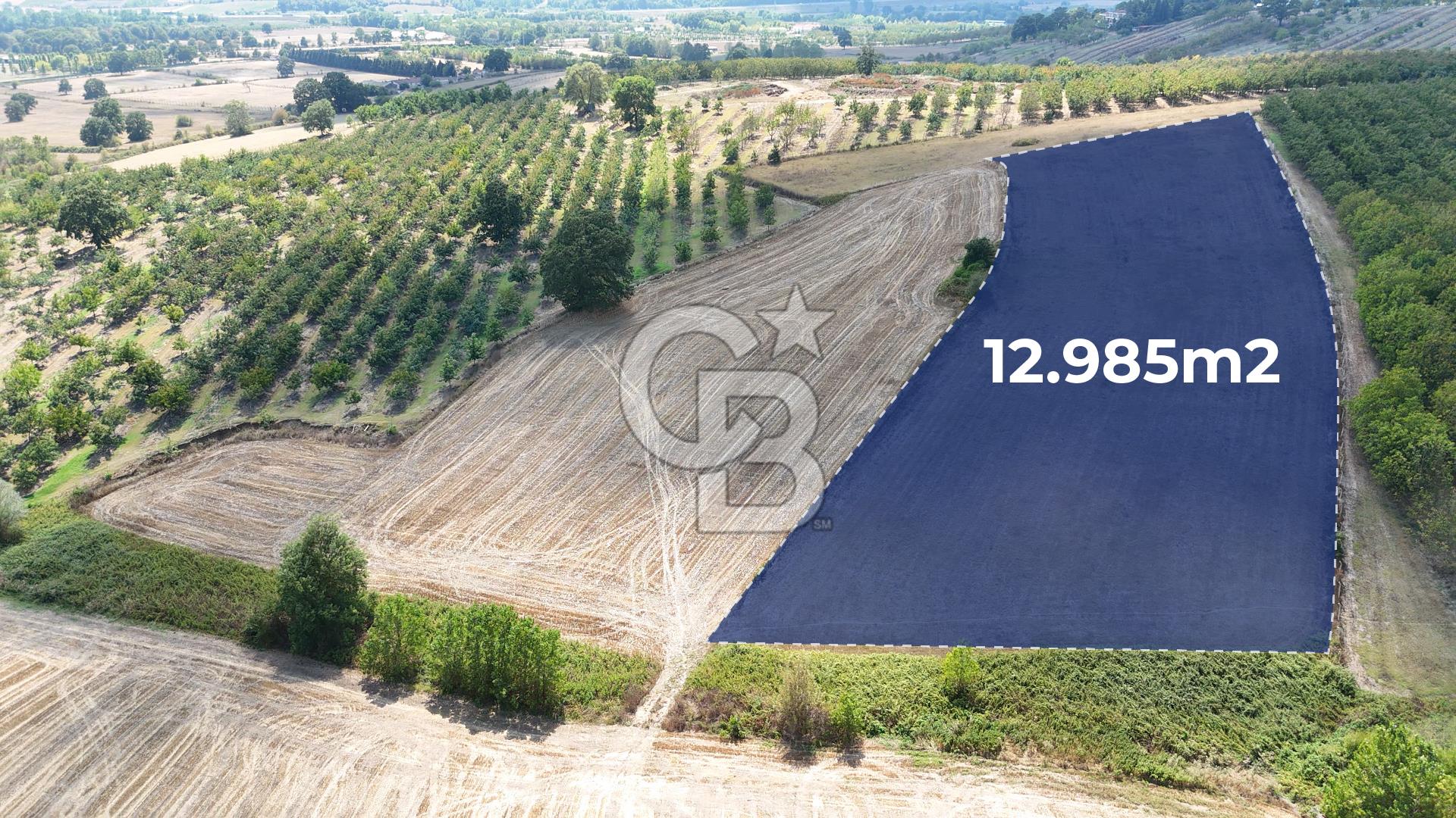 KOCAELİ AKMEŞE CUMHURİYET SATILIK 12.984 m2 MÜSTAKİL ARAZİ