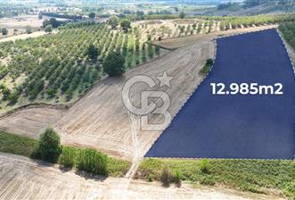 KOCAELİ AKMEŞE CUMHURİYET SATILIK 12.984 m2 MÜSTAKİL ARAZİ