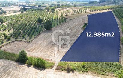 KOCAELİ AKMEŞE CUMHURİYET SATILIK 12.984 m2 MÜSTAKİL ARAZİ