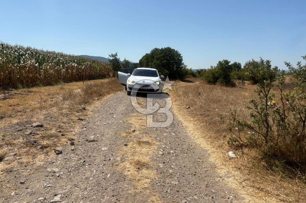 CB KiNG'DEN BALIKESİR/GÖKÇEYAZI KÖSEAĞALAR MAH. SATILIK TARLA 