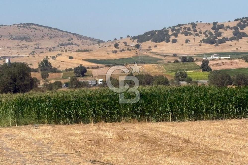 CB KiNG'DEN BALIKESİR/GÖKÇEYAZI KÖSEAĞALAR MAH. SATILIK TARLA 