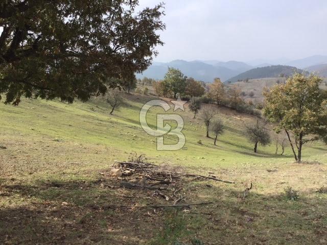 CB KiNG'DEN BALIKESİR/DURSUNBEY ÇANAKÇI MAHALLESİ SATILIK TARLA