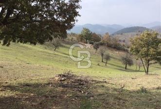 CB KiNG'DEN BALIKESİR/DURSUNBEY ÇANAKÇI MAHALLESİ SATILIK TARLA