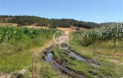 CB KiNG'DEN BALIKESİR/GÖKÇEYAZI KÖSEAĞALAR MAH. SATILIK TARLA 