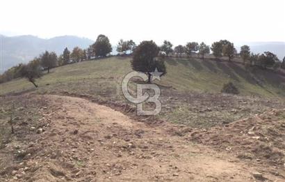 CB KiNG'DEN BALIKESİR/DURSUNBEY ÇANAKÇI MAHALLESİ SATILIK TARLA