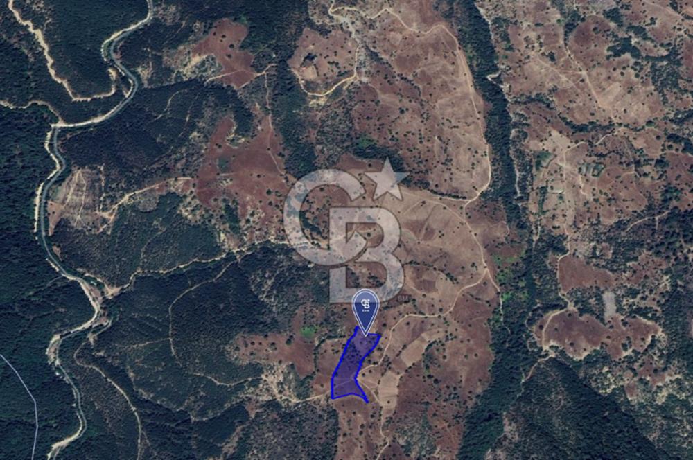 CB KiNG'DEN BALIKESİR/DURSUNBEY ÇANAKÇI MAHALLESİ SATILIK TARLA