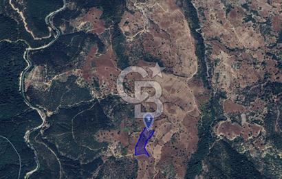 CB KiNG'DEN BALIKESİR/DURSUNBEY ÇANAKÇI MAHALLESİ SATILIK TARLA
