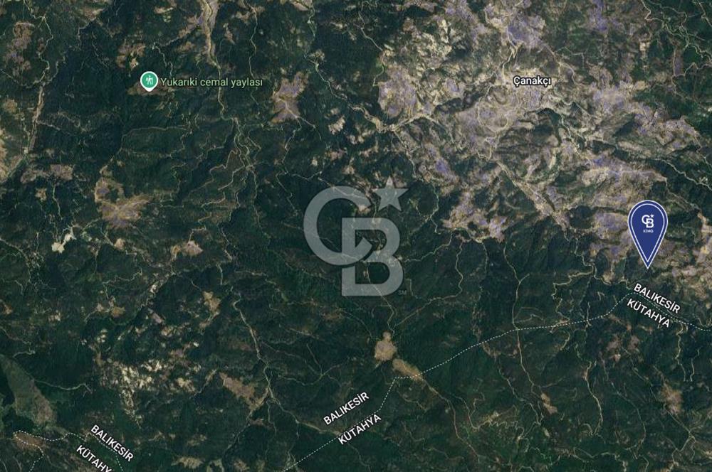 CB KiNG'DEN BALIKESİR/DURSUNBEY ÇANAKÇI MAHALLESİ SATILIK TARLA