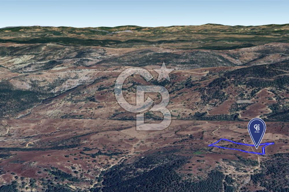 CB KiNG'DEN BALIKESİR/DURSUNBEY ÇANAKÇI MAHALLESİ SATILIK TARLA