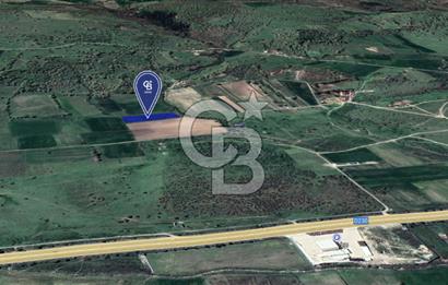 CB KiNG'DEN BALIKESİR/GÖKÇEYAZI KÖSEAĞALAR MAH. SATILIK TARLA 