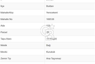 Buldan Yenicekent'te Satılık Üzüm Bağı