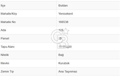 Buldan Yenicekent'te Satılık Üzüm Bağı