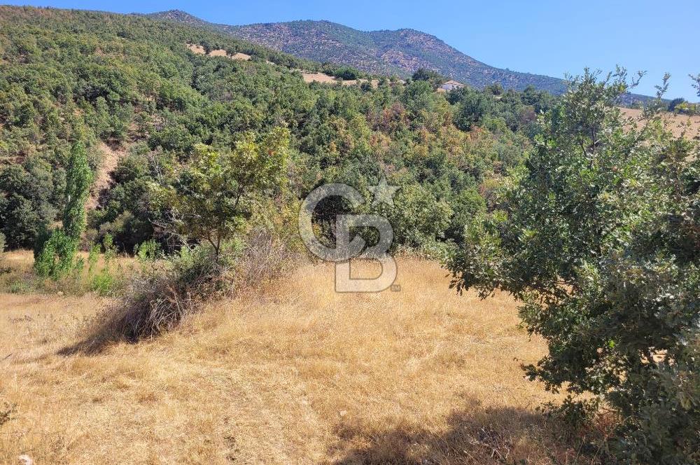 Manisa Kula'da satılık tarla
