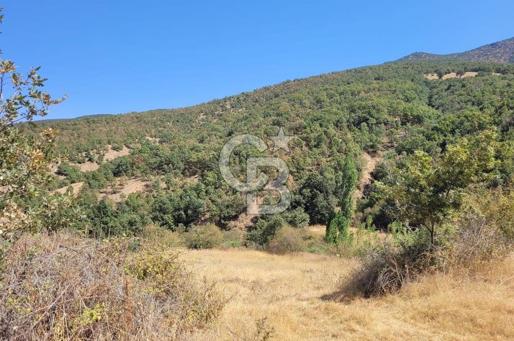 Manisa Kula'da satılık tarla