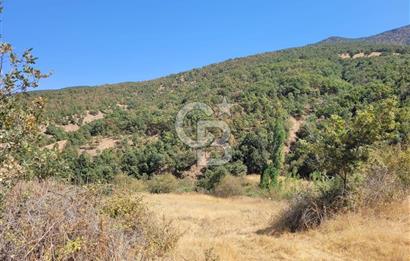 Manisa Kula'da satılık tarla