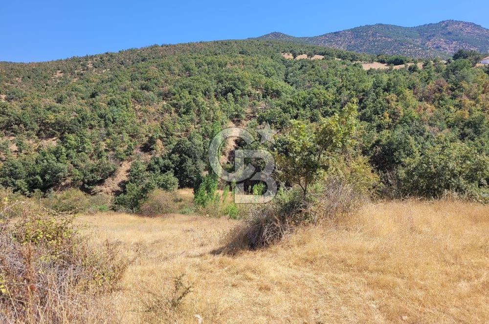 Manisa Kula'da satılık tarla