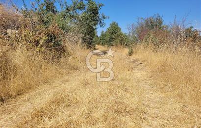 Manisa Kula'da satılık tarla