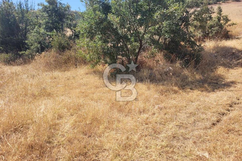 Manisa Kula'da satılık tarla